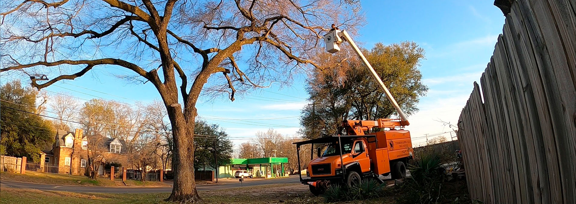 Tree & Lawn Pros